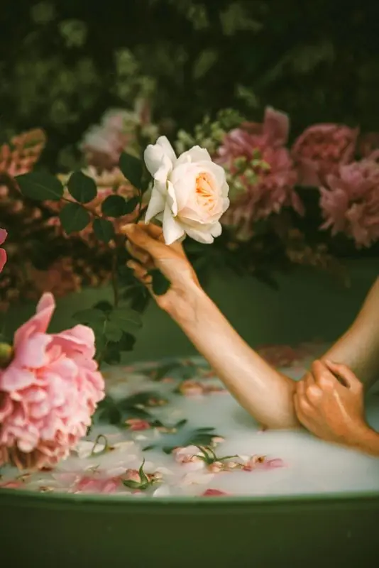 Hände halten eine Rose über einem Blütenbad